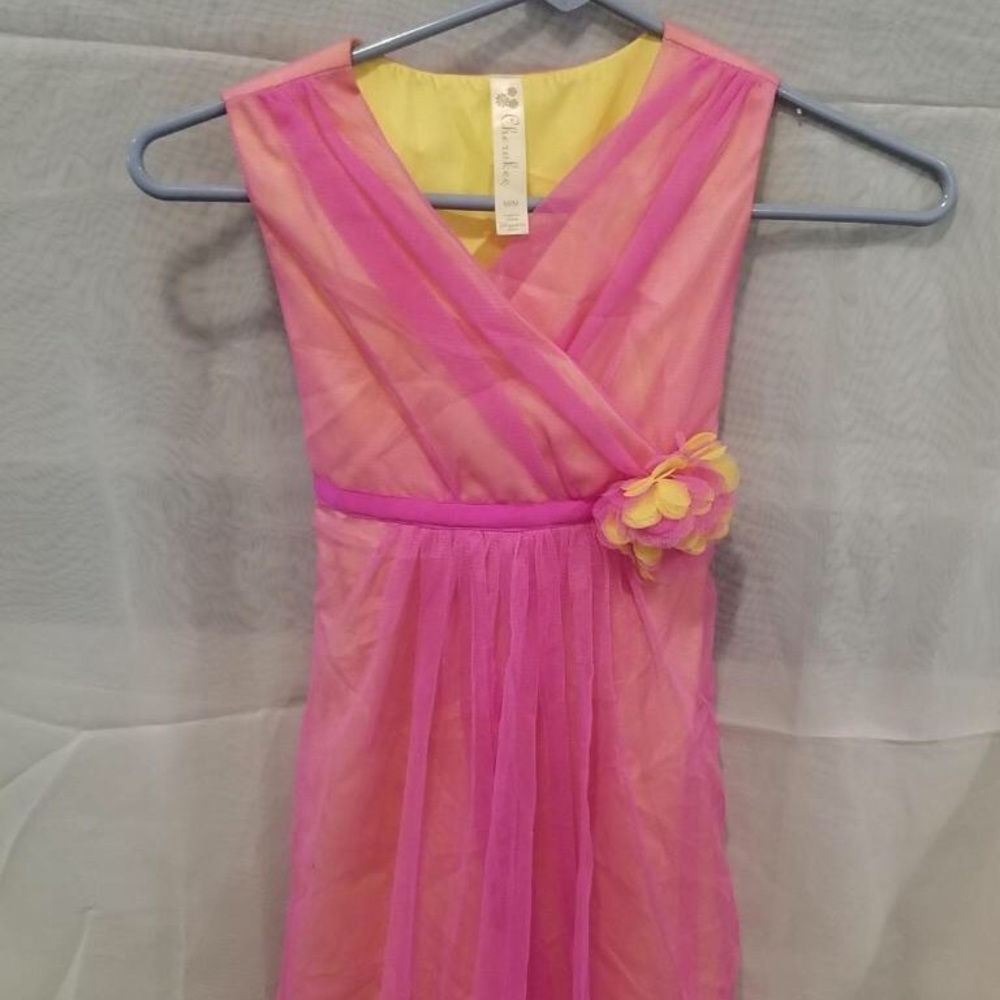 Beautiful 2 layered sleeveless girls dress